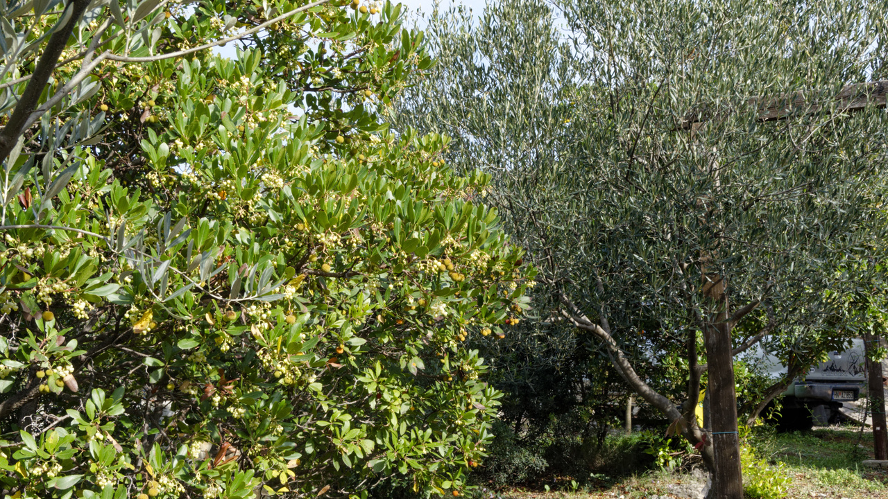 20221103 101136•Radovici•Coastalregion•Montenegro